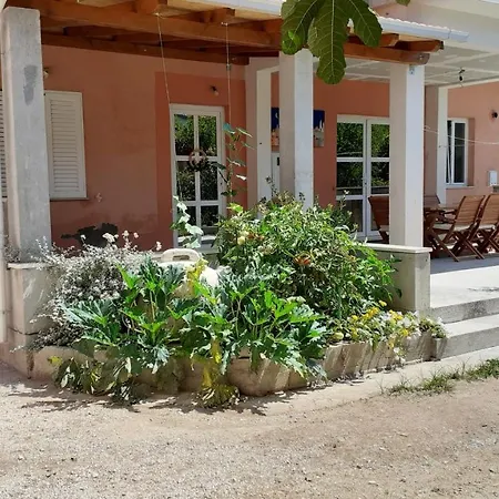 Studio 4576a Žuljana